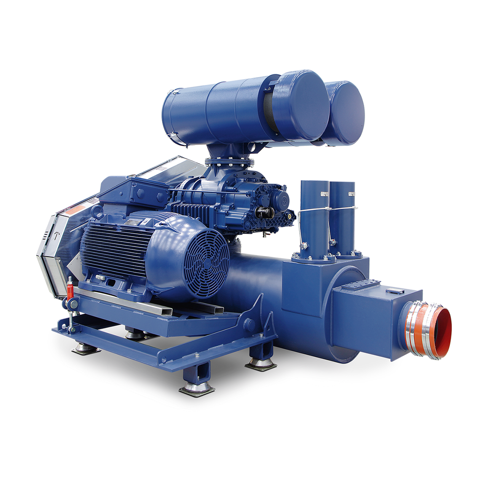 Screw Blower
